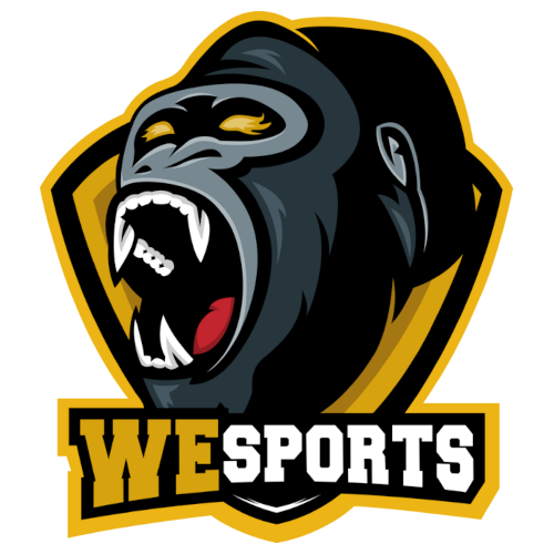 WeSports Logo