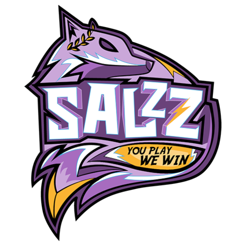 SalzZ Logo