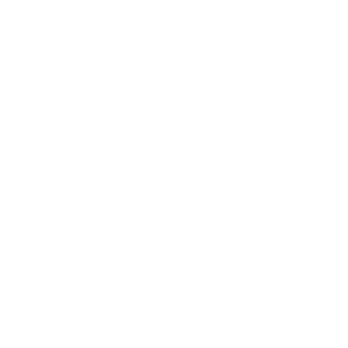 Team Virtus Logo